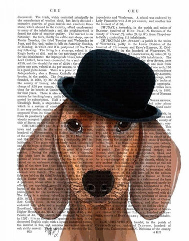 Dachshund with Black Bowler Hat Black Ornate Wood Framed Art Print with Double Matting by Fab Funky