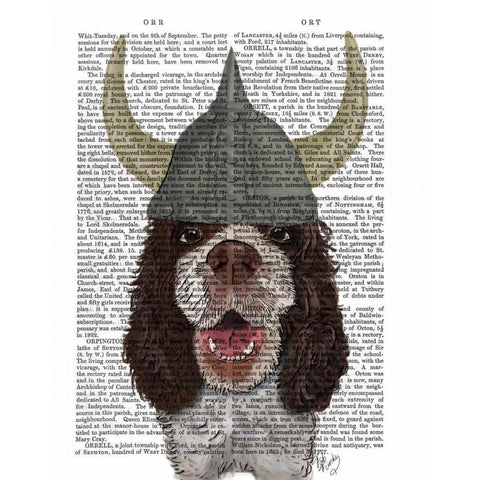 Springer Spaniel Viking White Modern Wood Framed Art Print by Fab Funky