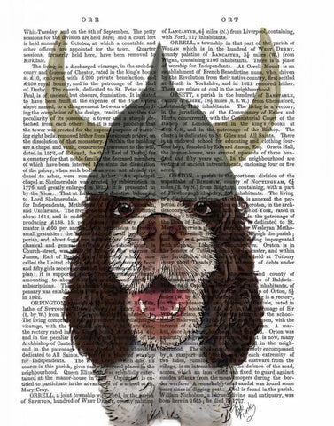 Springer Spaniel Viking Black Ornate Wood Framed Art Print with Double Matting by Fab Funky