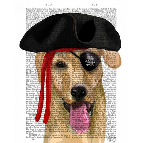 Yellow Labrador Pirate Black Modern Wood Framed Art Print with Double Matting by Fab Funky