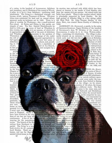 Boston Terrier with Rose on Head Black Ornate Wood Framed Art Print with Double Matting by Fab Funky