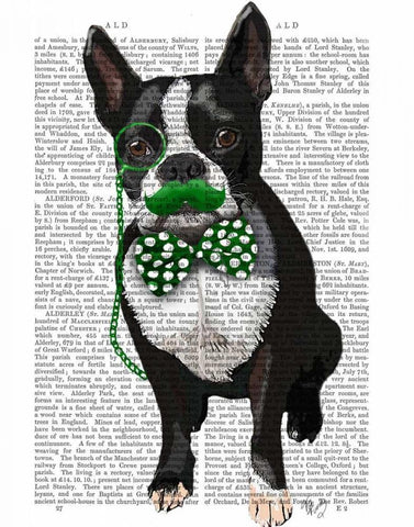 Boston Terrier With Green Moustache And Spotty Green Bow Tie Black Ornate Wood Framed Art Print with Double Matting by Fab Funky