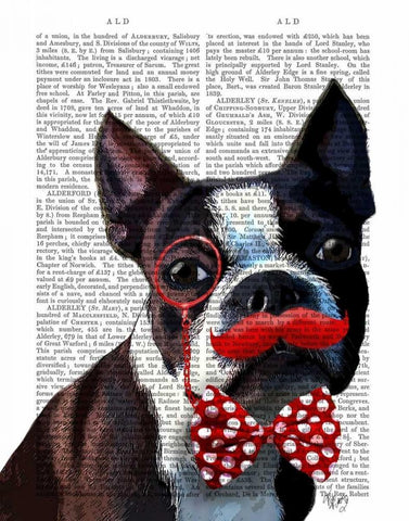 Boston Terrier Portrait with Red Bow Tie and Moustache White Modern Wood Framed Art Print with Double Matting by Fab Funky