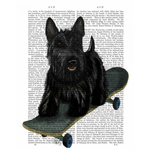 Scottish Terrier and Skateboard Black Modern Wood Framed Art Print with Double Matting by Fab Funky