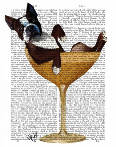 Boston Terrier in Cocktail Glass White Modern Wood Framed Art Print with Double Matting by Fab Funky