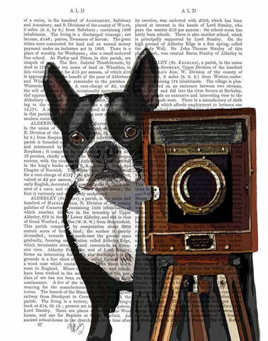 Boston Terrier Photographer White Modern Wood Framed Art Print with Double Matting by Fab Funky