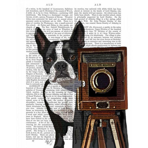 Boston Terrier Photographer Black Modern Wood Framed Art Print with Double Matting by Fab Funky