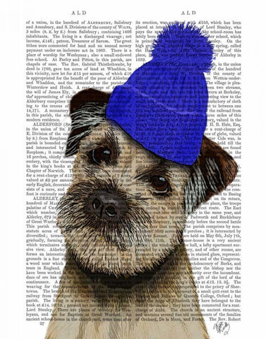 Border Terrier with Blue Bobble Hat Black Ornate Wood Framed Art Print with Double Matting by Fab Funky