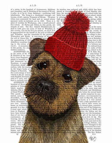 Border Terrier with Red Bobble Hat White Modern Wood Framed Art Print with Double Matting by Fab Funky