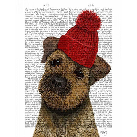 Border Terrier with Red Bobble Hat Black Modern Wood Framed Art Print with Double Matting by Fab Funky