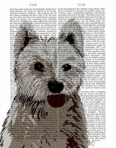 West Highland Terrier Plain White Modern Wood Framed Art Print with Double Matting by Fab Funky