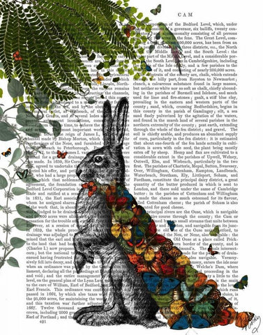 Hare with Butterfly Cloak White Modern Wood Framed Art Print with Double Matting by Fab Funky