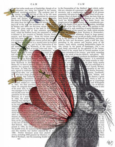 Dragonfly Hare White Modern Wood Framed Art Print with Double Matting by Fab Funky