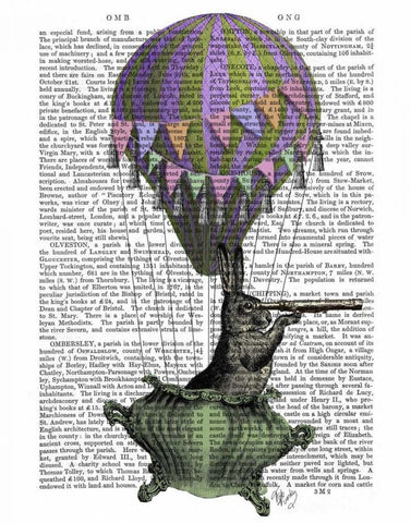 Navigating Rabbit Black Ornate Wood Framed Art Print with Double Matting by Fab Funky