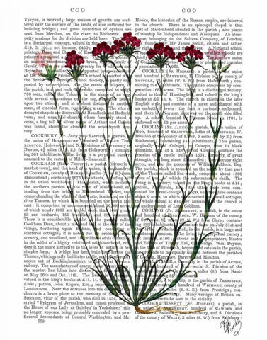 Italian Carnation 4 Black Ornate Wood Framed Art Print with Double Matting by Fab Funky