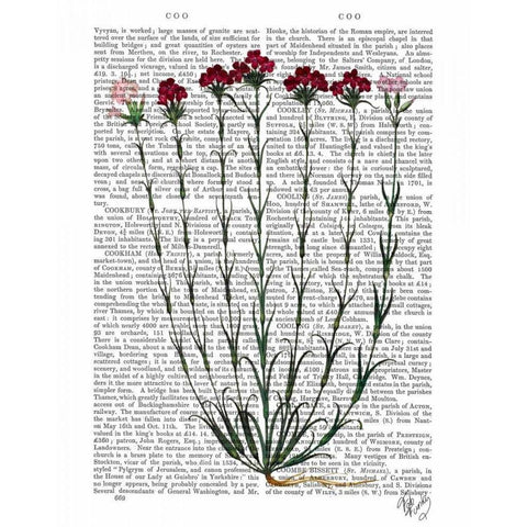 Italian Carnation 4 White Modern Wood Framed Art Print by Fab Funky