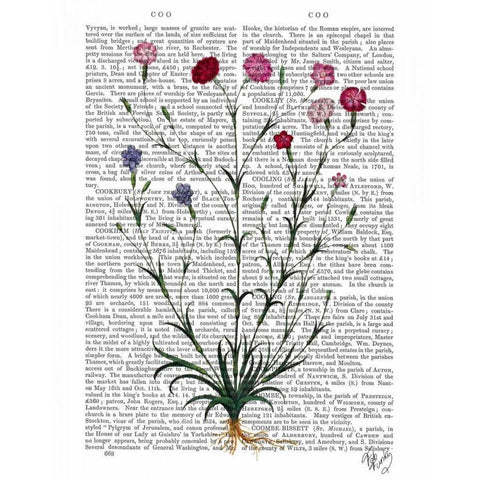 Italian Carnation 5 Gold Ornate Wood Framed Art Print with Double Matting by Fab Funky