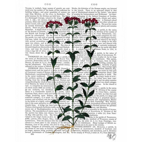 Italian Carnation 6 White Modern Wood Framed Art Print by Fab Funky