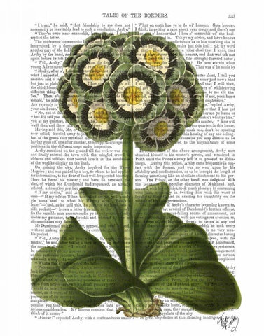 Primula Auricula Blue Black Ornate Wood Framed Art Print with Double Matting by Fab Funky