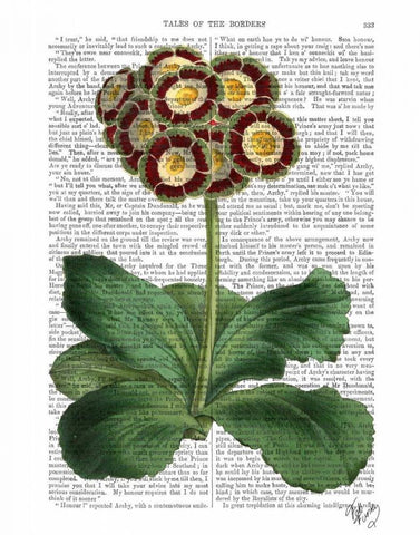 Primula Auricula Red White Modern Wood Framed Art Print with Double Matting by Fab Funky