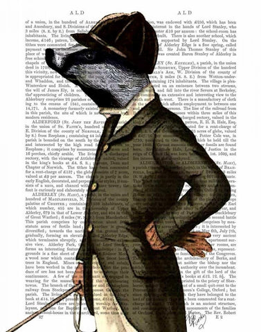 Badger The Rider Portrait White Modern Wood Framed Art Print with Double Matting by Fab Funky