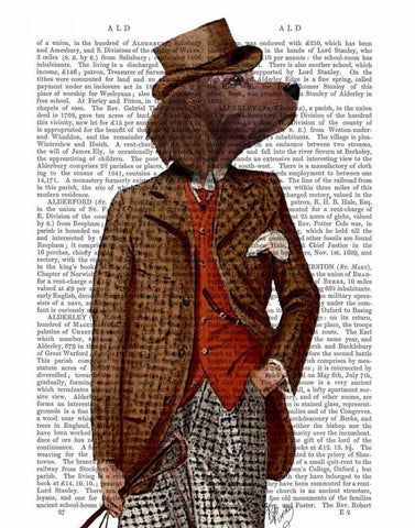 Red Setter Rider Portrait Black Ornate Wood Framed Art Print with Double Matting by Fab Funky