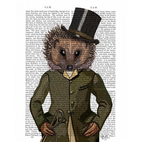 Hedgehog Rider Portrait Black Modern Wood Framed Art Print with Double Matting by Fab Funky