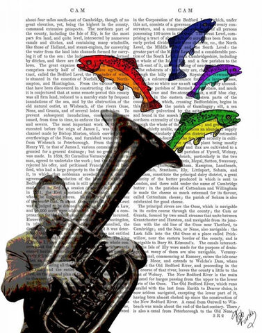 Tuba And Fish White Modern Wood Framed Art Print with Double Matting by Fab Funky