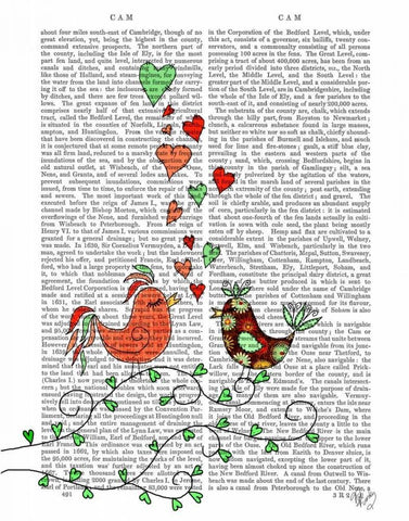 Love Birds Illustration White Modern Wood Framed Art Print with Double Matting by Fab Funky