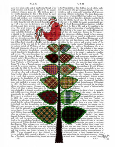 Tartan Tree Illustration Black Ornate Wood Framed Art Print with Double Matting by Fab Funky