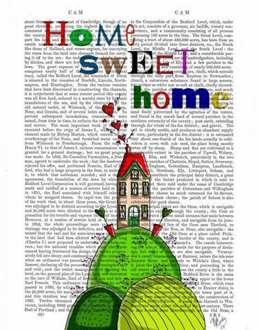 Home Sweet Home Illustration Black Ornate Wood Framed Art Print with Double Matting by Fab Funky