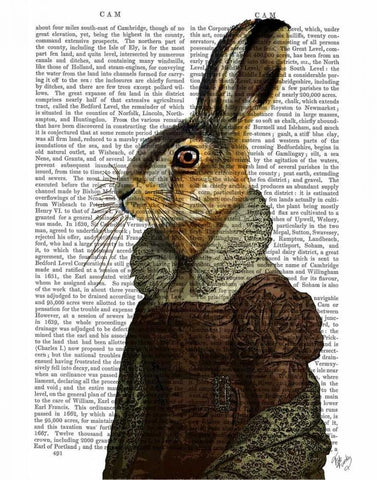 Madam Hare Portrait Black Ornate Wood Framed Art Print with Double Matting by Fab Funky