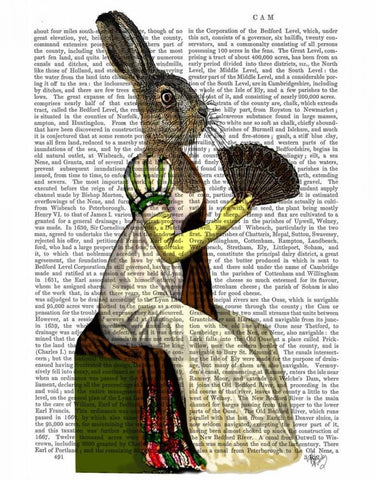 Miss Hare Black Ornate Wood Framed Art Print with Double Matting by Fab Funky