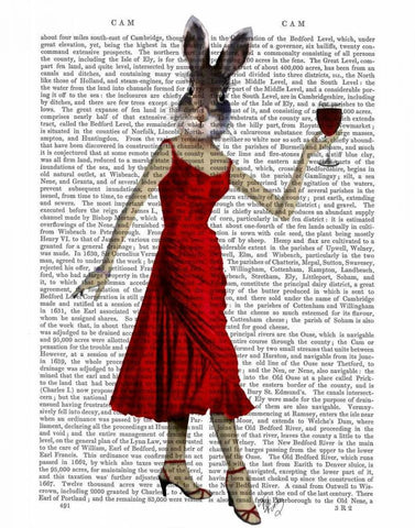 Rabbit in Red Dress Black Ornate Wood Framed Art Print with Double Matting by Fab Funky