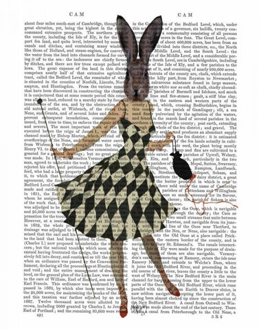 Rabbit in Black White Dress White Modern Wood Framed Art Print with Double Matting by Fab Funky