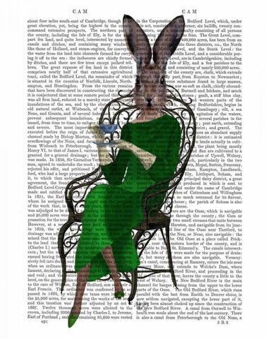 Lady Bella Rabbit Taking Tea Black Ornate Wood Framed Art Print with Double Matting by Fab Funky