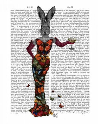 Rabbit Butterfly Dress White Modern Wood Framed Art Print with Double Matting by Fab Funky