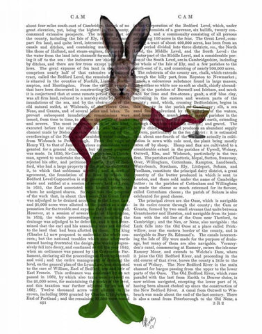 Rabbit Green Dress White Modern Wood Framed Art Print with Double Matting by Fab Funky