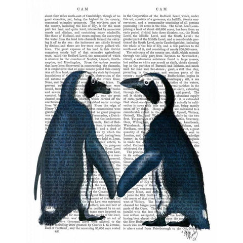 Penguins in Love Black Modern Wood Framed Art Print with Double Matting by Fab Funky