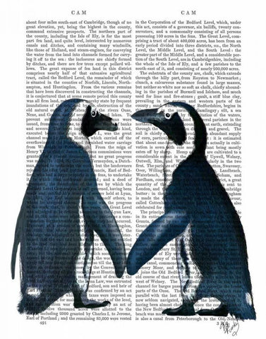 Penguins in Love White Modern Wood Framed Art Print with Double Matting by Fab Funky