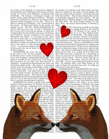 Foxes in Love White Modern Wood Framed Art Print with Double Matting by Fab Funky