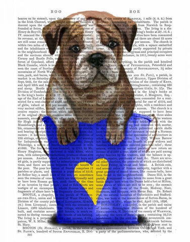 Bulldog Bucket Of Love Blue White Modern Wood Framed Art Print with Double Matting by Fab Funky