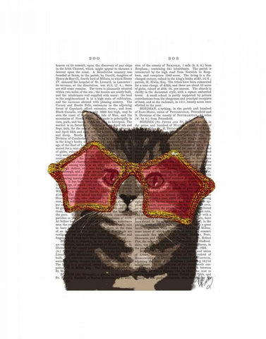 Kitten in Star Sunglasses White Modern Wood Framed Art Print with Double Matting by Fab Funky