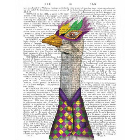 Mardi Gras Goose Harlequin Jacket White Modern Wood Framed Art Print by Fab Funky