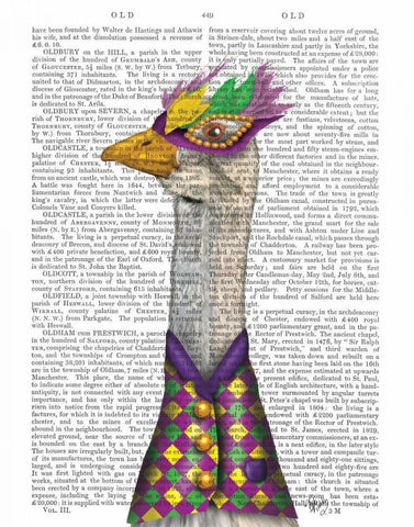 Mardi Gras Goose Harlequin Jacket Black Ornate Wood Framed Art Print with Double Matting by Fab Funky