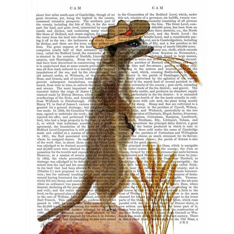 Meerkat Cowboy Gold Ornate Wood Framed Art Print with Double Matting by Fab Funky