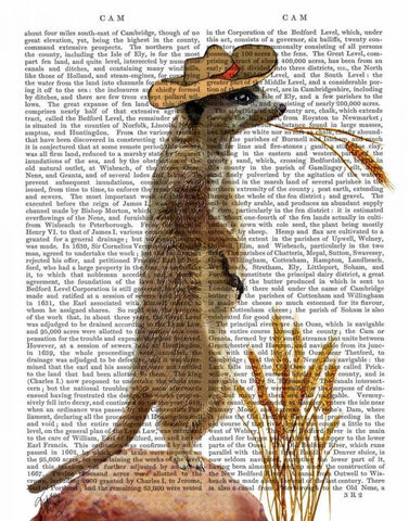 Meerkat Cowboy White Modern Wood Framed Art Print with Double Matting by Fab Funky