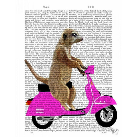 Meerkat on Pink Moped Black Modern Wood Framed Art Print with Double Matting by Fab Funky