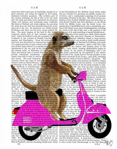 Meerkat on Pink Moped Black Ornate Wood Framed Art Print with Double Matting by Fab Funky