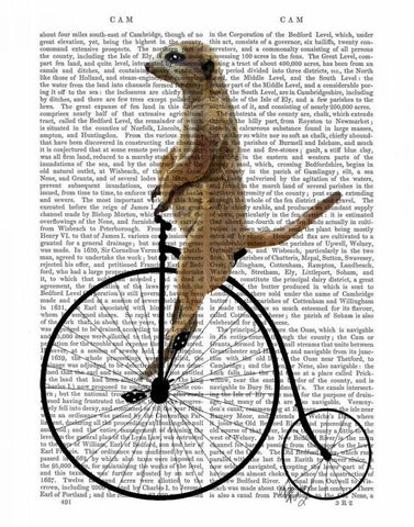 Meerkat on Black Penny Farthing Black Ornate Wood Framed Art Print with Double Matting by Fab Funky